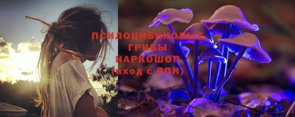 соль ск Дмитровск