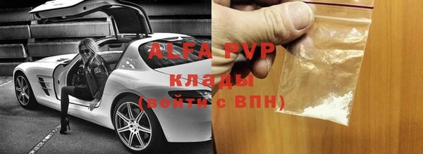 ешки Горняк