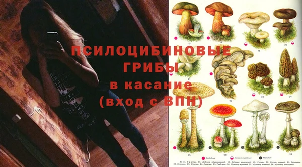 ешки Горняк