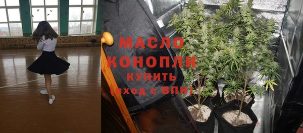 ешки Горняк