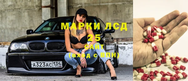 ешки Горняк