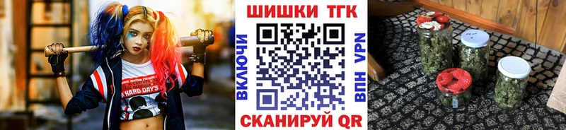Канабис семена  Гусев 